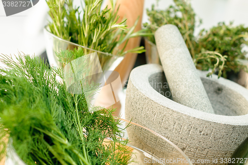 Image of Herbs and Mortar for spices clode up