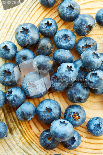 Image of Freshly picked blueberries