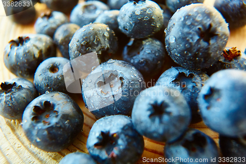 Image of Freshly picked blueberries