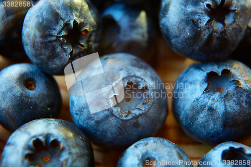 Image of Freshly picked blueberries