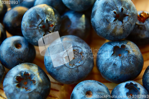 Image of Freshly picked blueberries