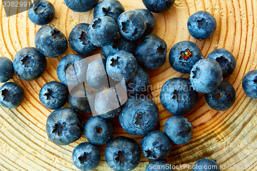 Image of Freshly picked blueberries