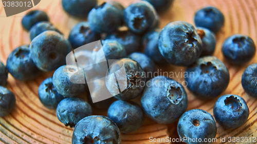 Image of Freshly picked blueberries