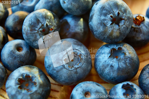 Image of Freshly picked blueberries