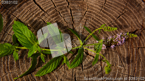 Image of peppermint on wooden table