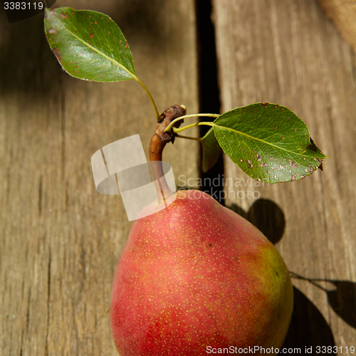 Image of Fresh organic pear on old wood. 