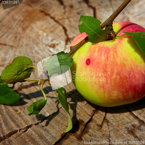 Image of Top view red apple. 