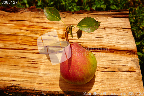 Image of Fresh organic pear on old wood. 