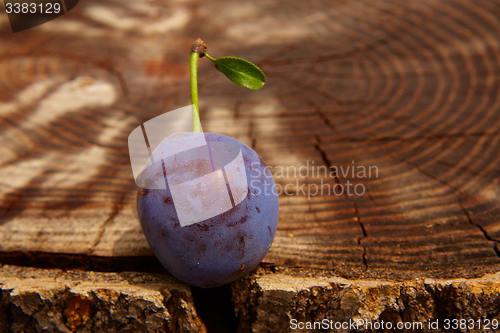 Image of fresh plum on wooden table