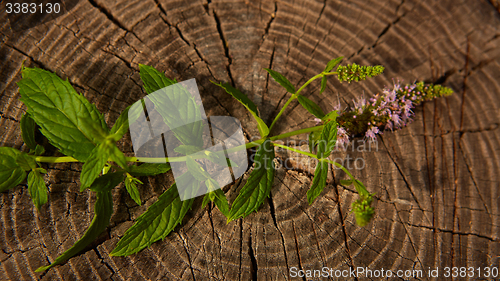 Image of peppermint on wooden table