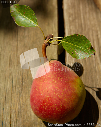 Image of Fresh organic pear on old wood. 