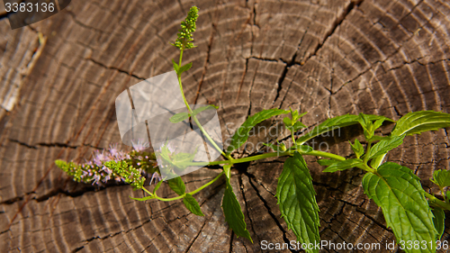 Image of peppermint on wooden table