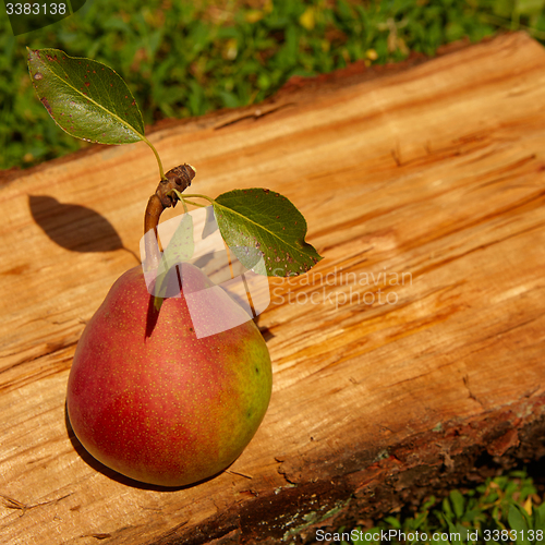 Image of Fresh organic pear on old wood. 