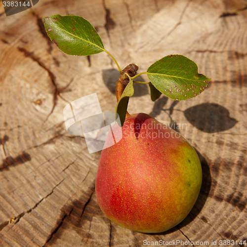 Image of Fresh organic pear on old wood. 