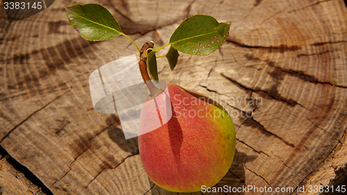 Image of Fresh organic pear on old wood. 