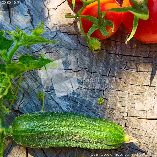 Image of The concept of healthy eating with organic cucumber and tomatoes