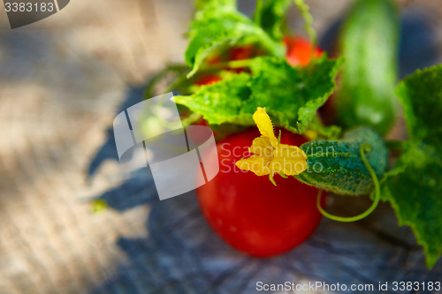 Image of The concept of healthy eating with organic cucumber and tomatoes