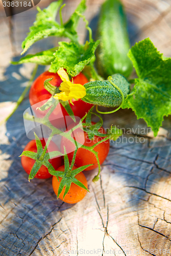 Image of The concept of healthy eating with organic cucumber and tomatoes