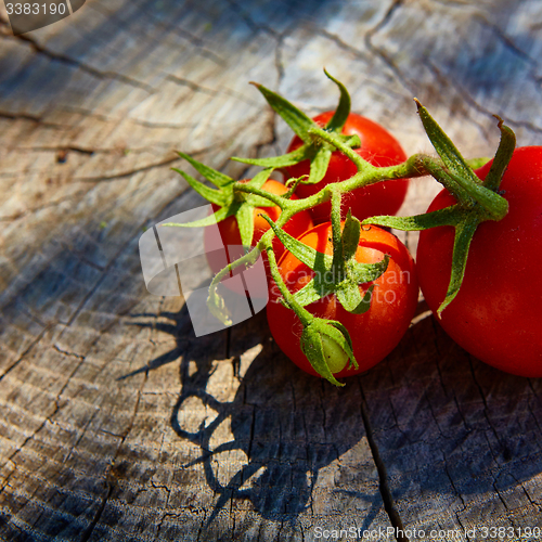 Image of Fresh organic tomatoes 