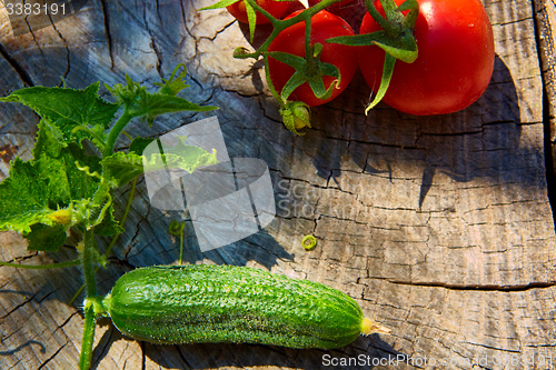 Image of The concept of healthy eating with organic cucumber and tomatoes