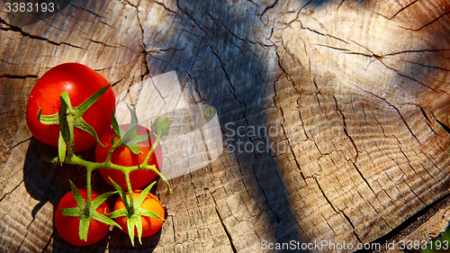 Image of Fresh organic tomatoes 