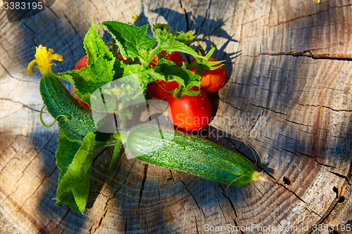 Image of The concept of healthy eating with organic cucumber and tomatoes