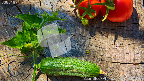 Image of The concept of healthy eating with organic cucumber and tomatoes