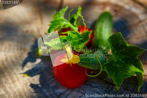 Image of The concept of healthy eating with organic cucumber and tomatoes