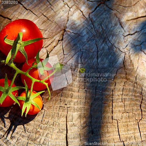 Image of Fresh organic tomatoes 