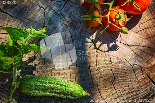 Image of The concept of healthy eating with organic cucumber and tomatoes