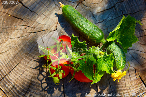 Image of The concept of healthy eating with organic cucumber and tomatoes