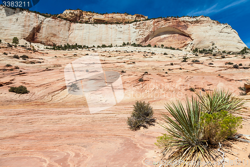 Image of Zion National Park