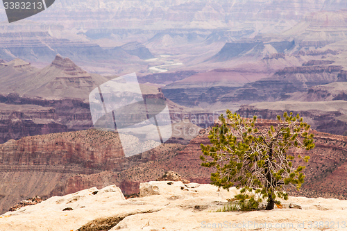 Image of Grand Canyon