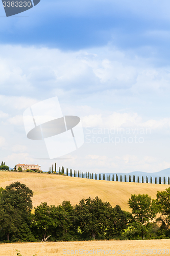 Image of Countryside in Tuscany