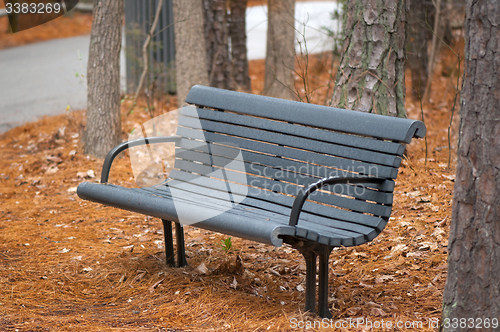 Image of Park Bench