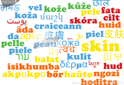 Image of Skin multilanguage wordcloud background concept