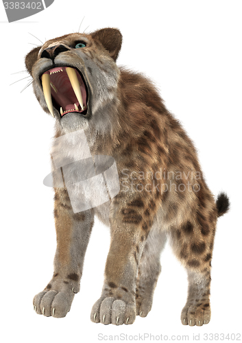 Image of Big Cat Smilodon