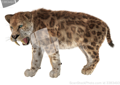 Image of Big Cat Smilodon