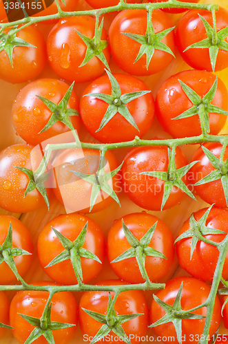 Image of tomato