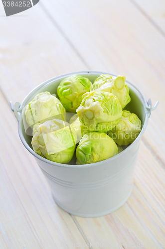 Image of brussel cabbage