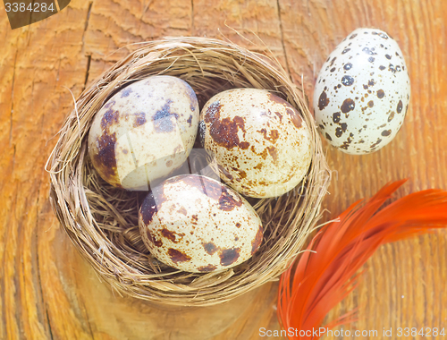 Image of quail eggs