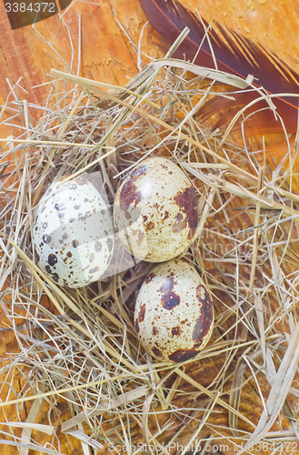 Image of easter eggs