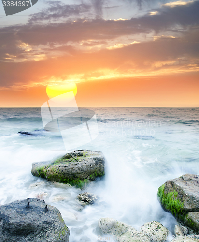 Image of sea coast