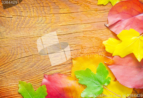 Image of leaves on wooden background