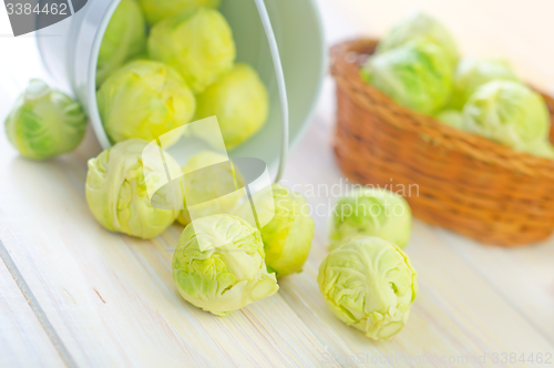 Image of brussel cabbage