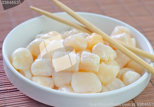 Image of scallop