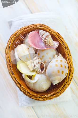 Image of shells