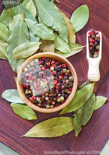 Image of Spice