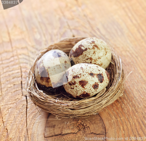 Image of quail eggs