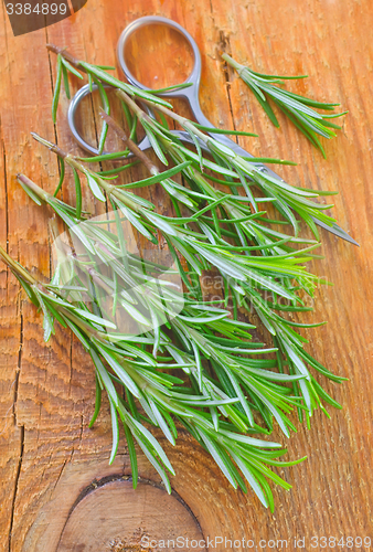 Image of rosemary